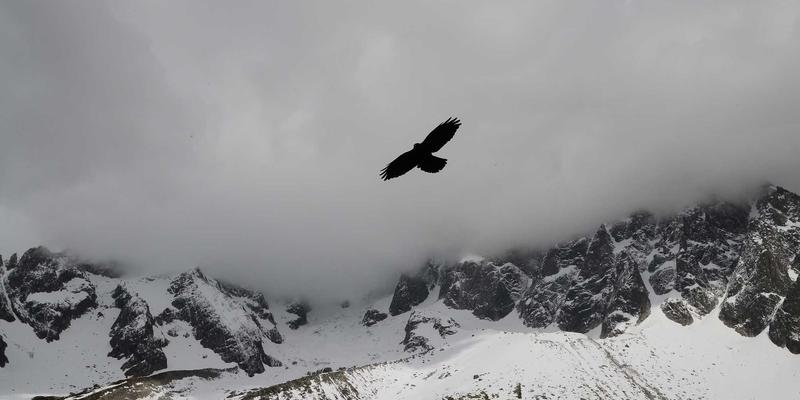荆州企业财务内控体系搭建指南：从制度到执行，筑牢资金风险防火墙